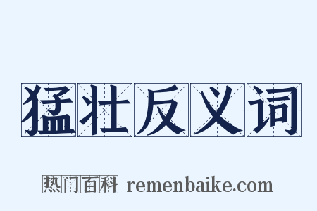 猛壮反义词是什么意思的图片